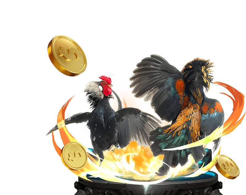 Cá cược bóng rổ FVE88 Casino